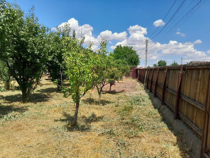 Movilita - vanzare casa 5 cam plus livada pe rod si teren 1800 mp